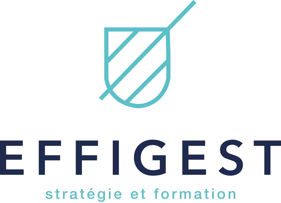 Logo-Effigest